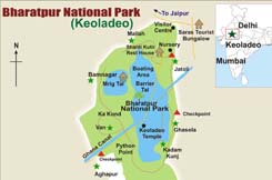 Bharatpur Bird Sanctuary map